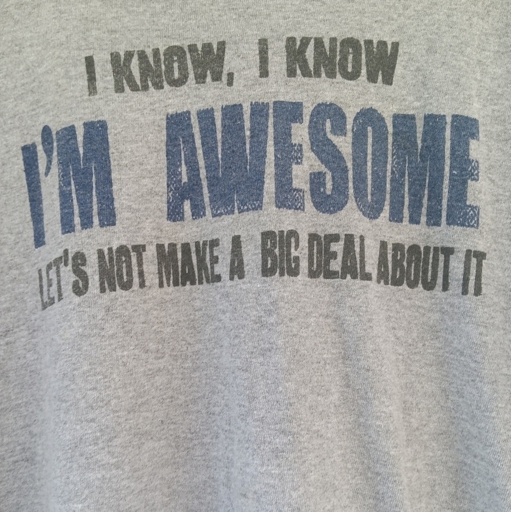 Men's I'm Awesome Graphic Gray T Shirt Size XL Humor Funny Humorous